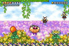 Wario Land 4