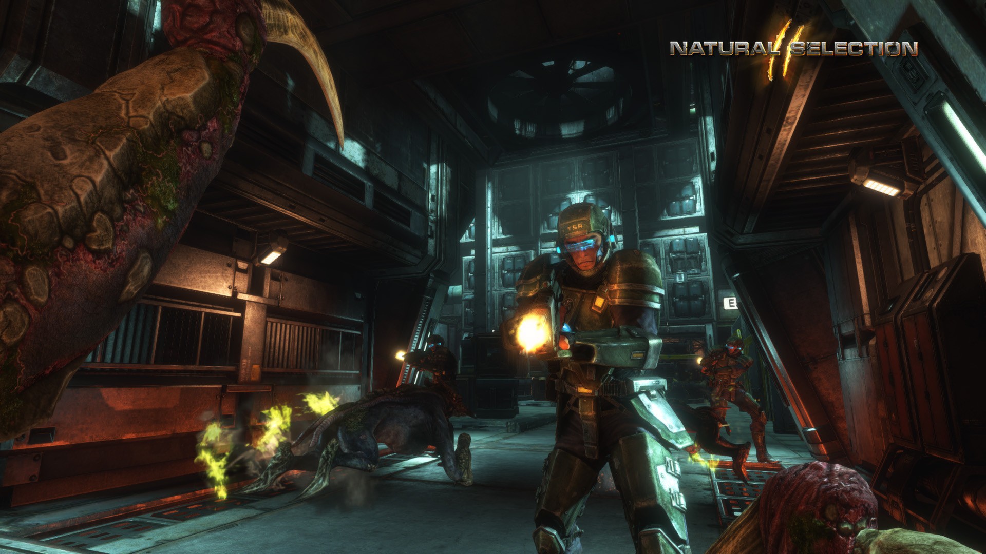 Natural Selection 2 – Deluxe DLC