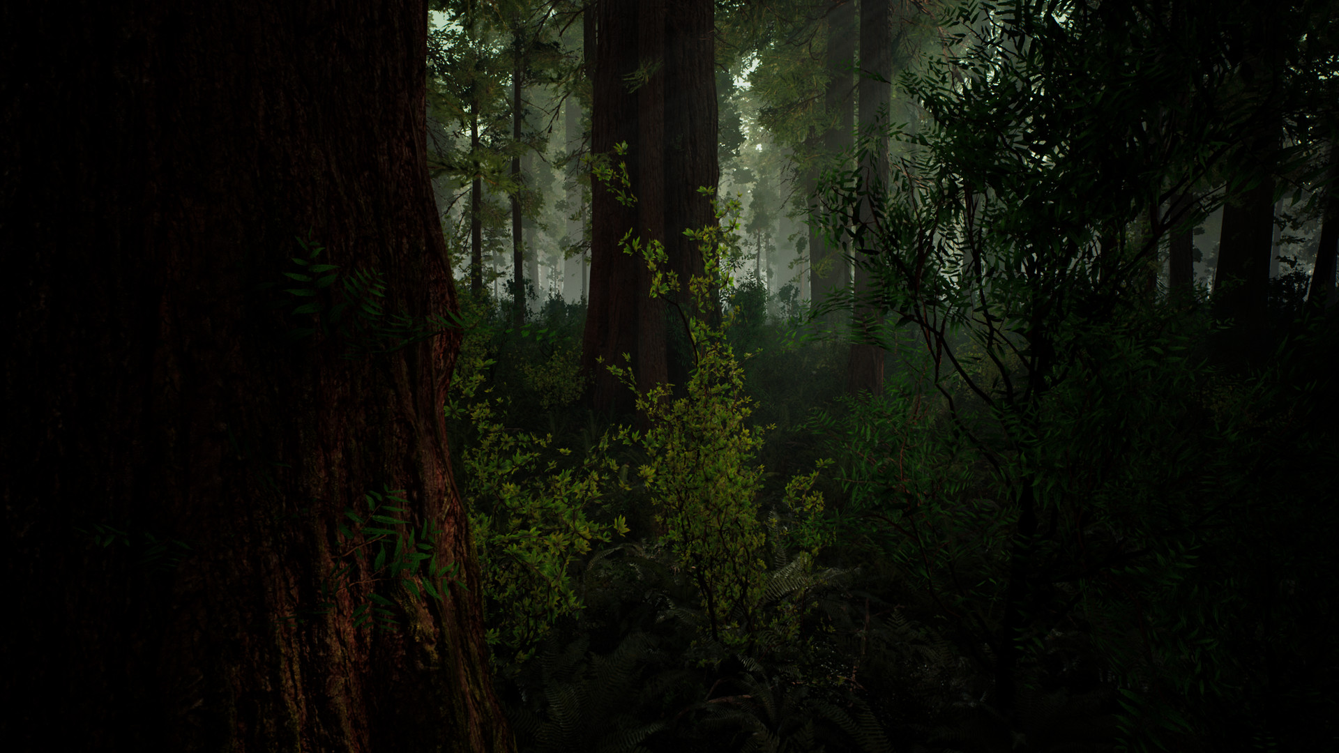 Death from Unknown: Survival