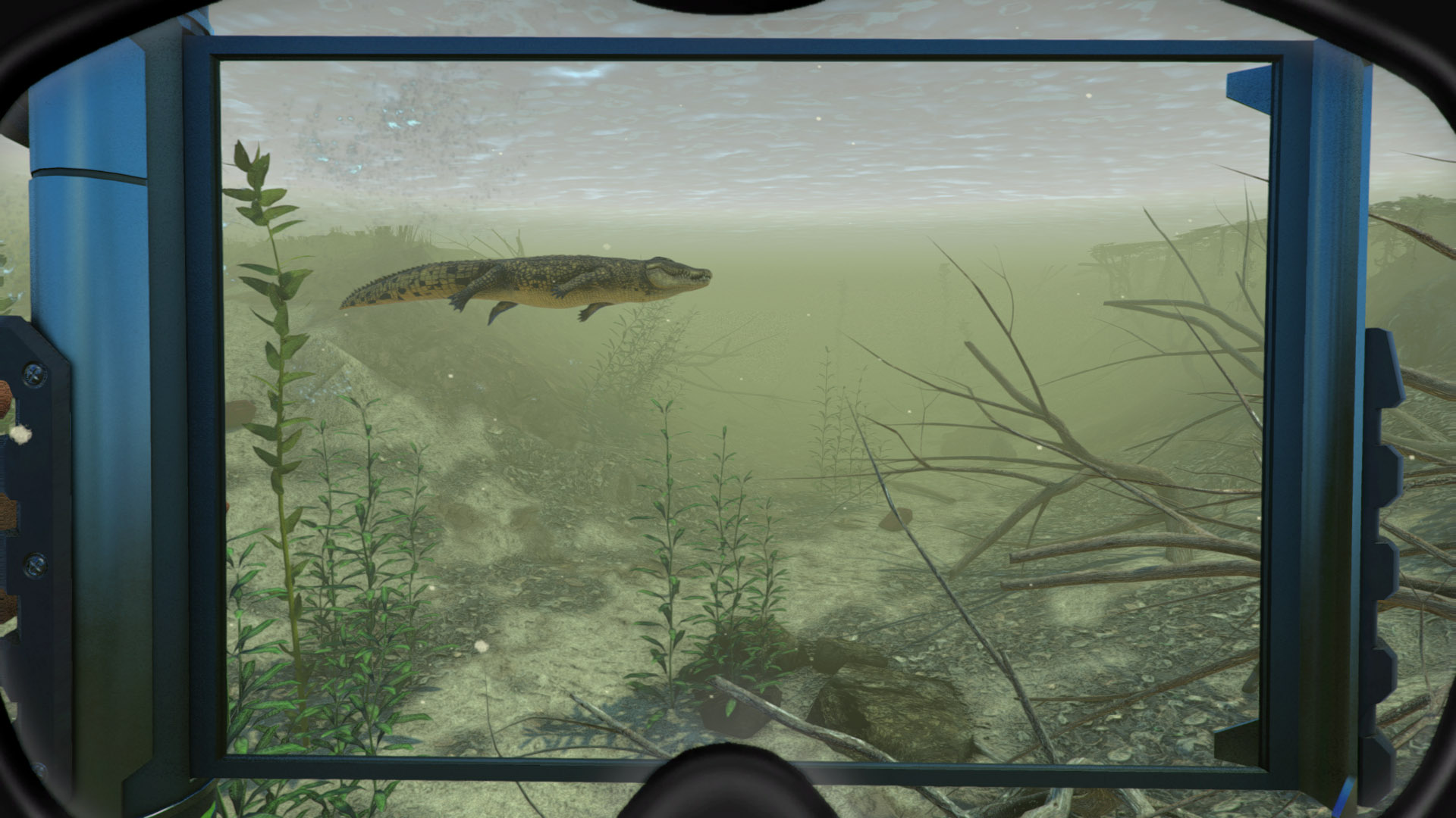 World of Diving