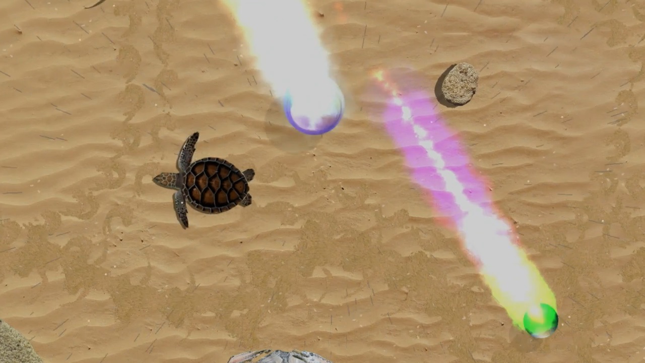 Turtle Quest