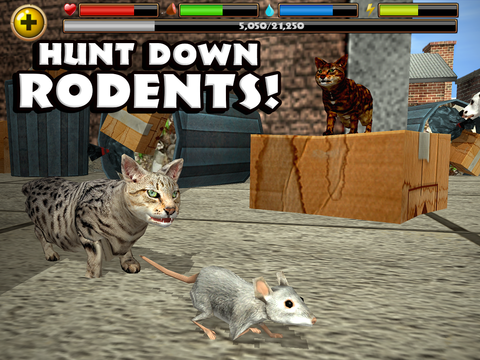 Stray Cat Simulator