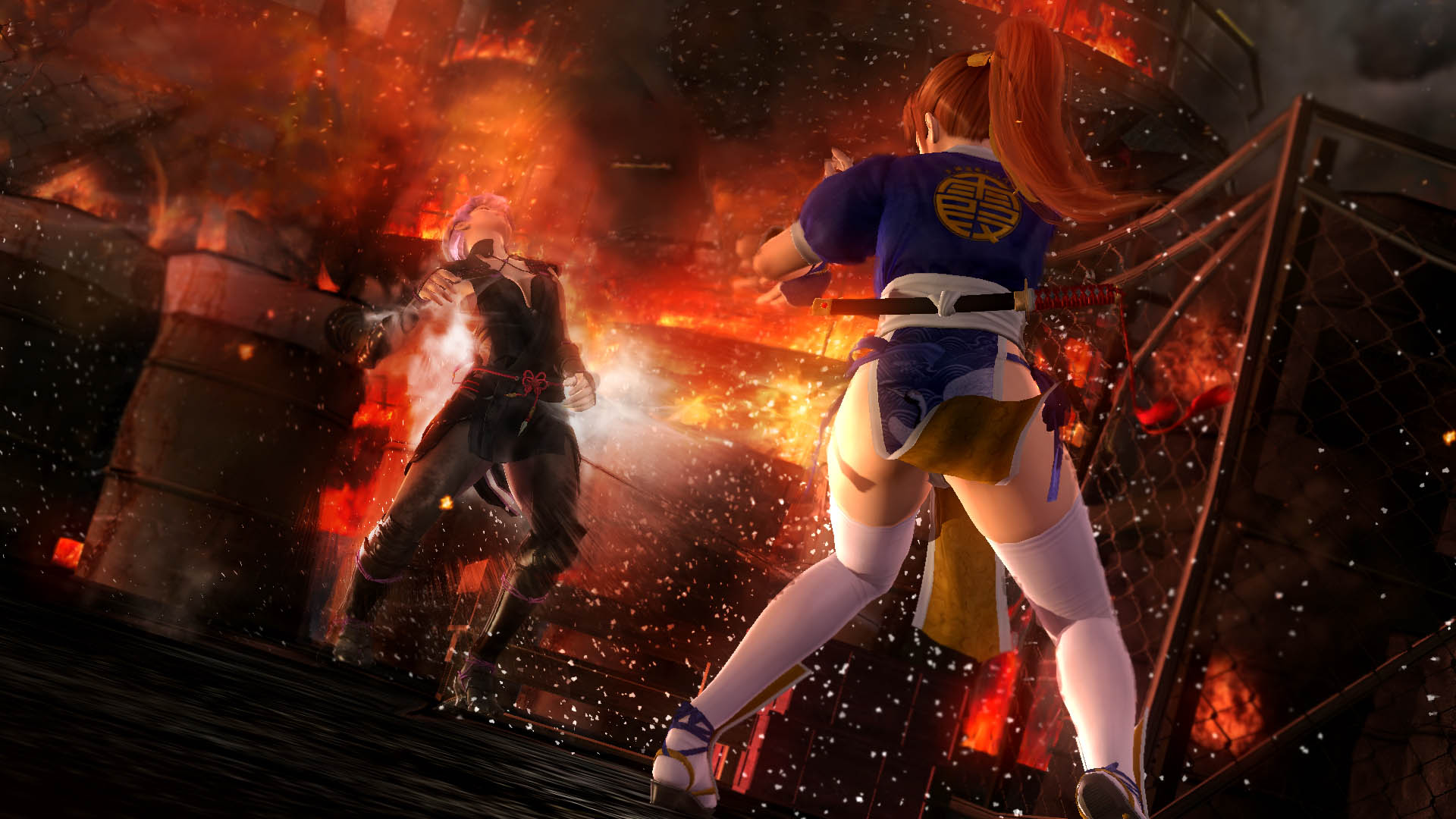 Dead or Alive 5 Last Round: Core Fighters