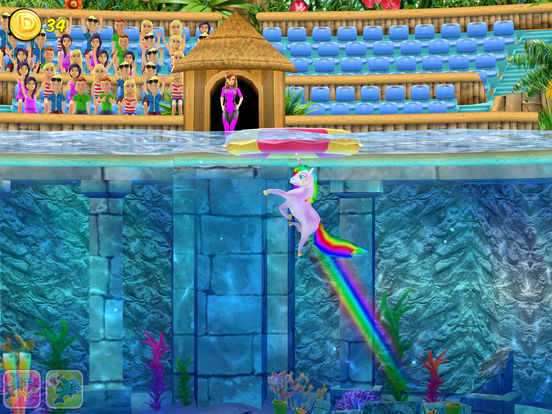 My Dolphin Show