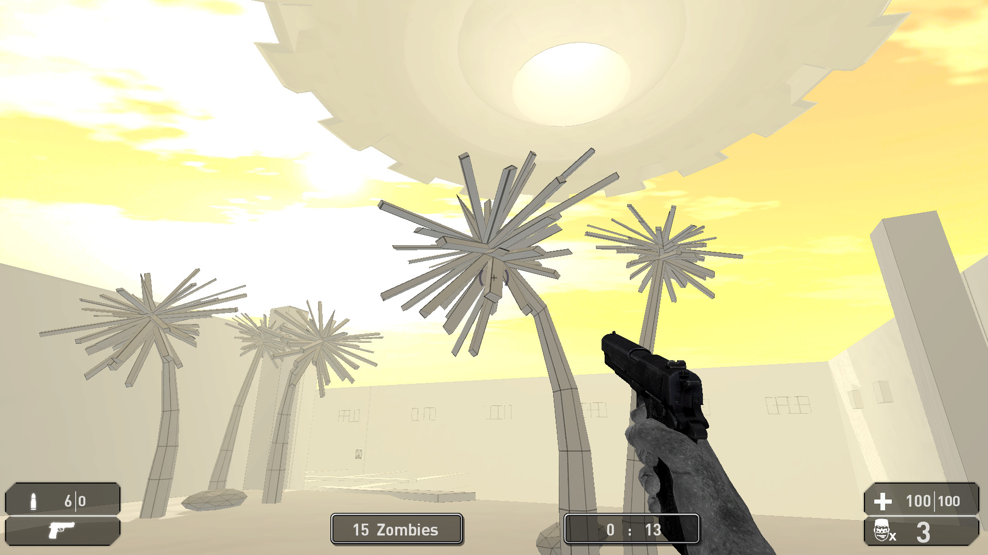 Project of the Developer