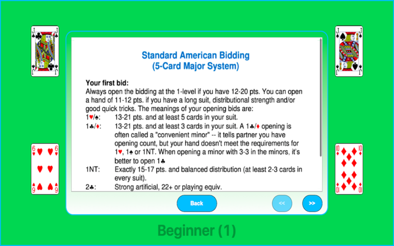 Bergen Bridge Beginner 1