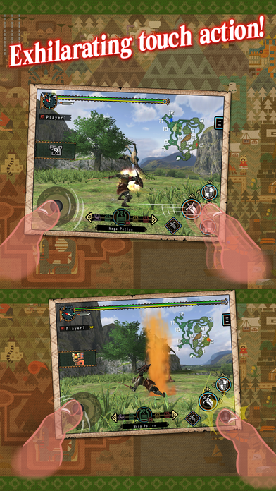 Monster Hunter Tri: Limited Edition
