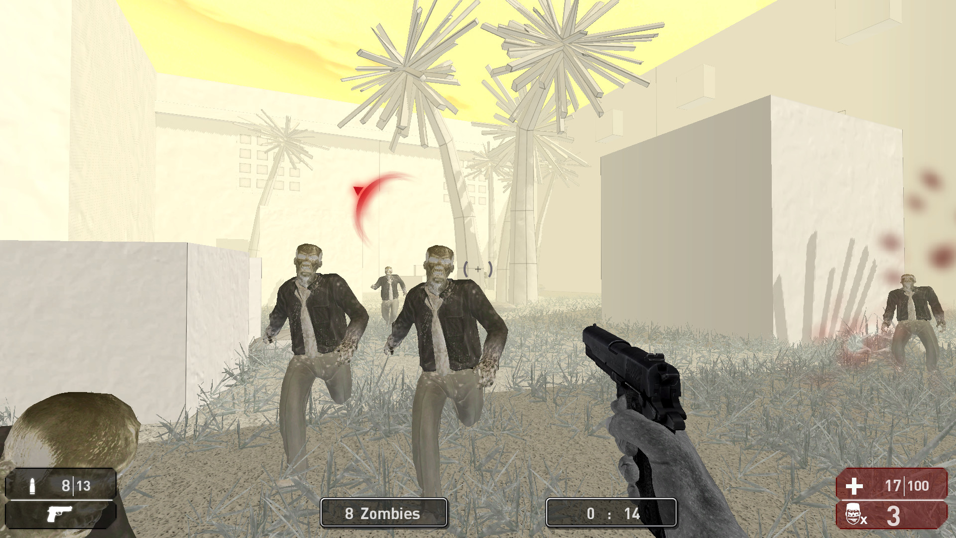 Project of the Developer
