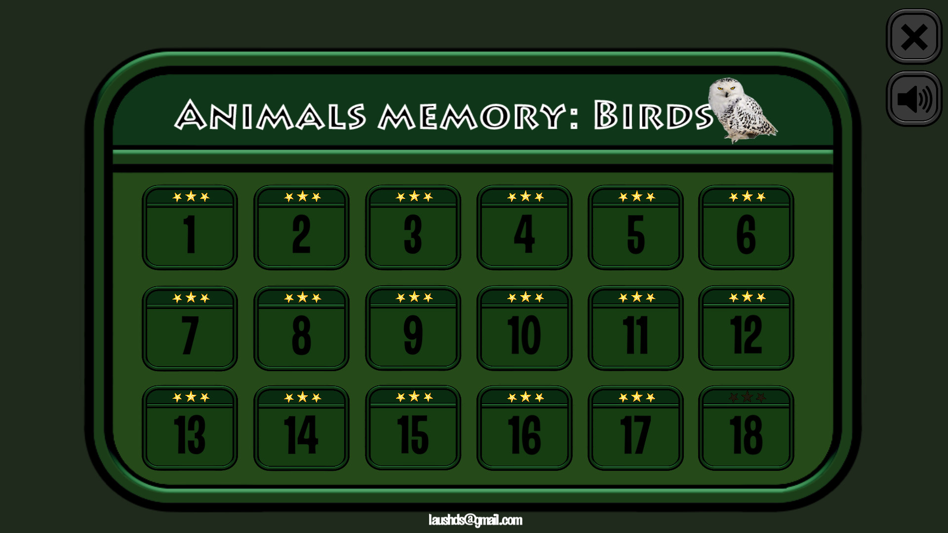 Animals Memory: Birds