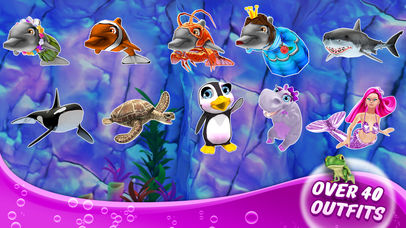 My Dolphin Show
