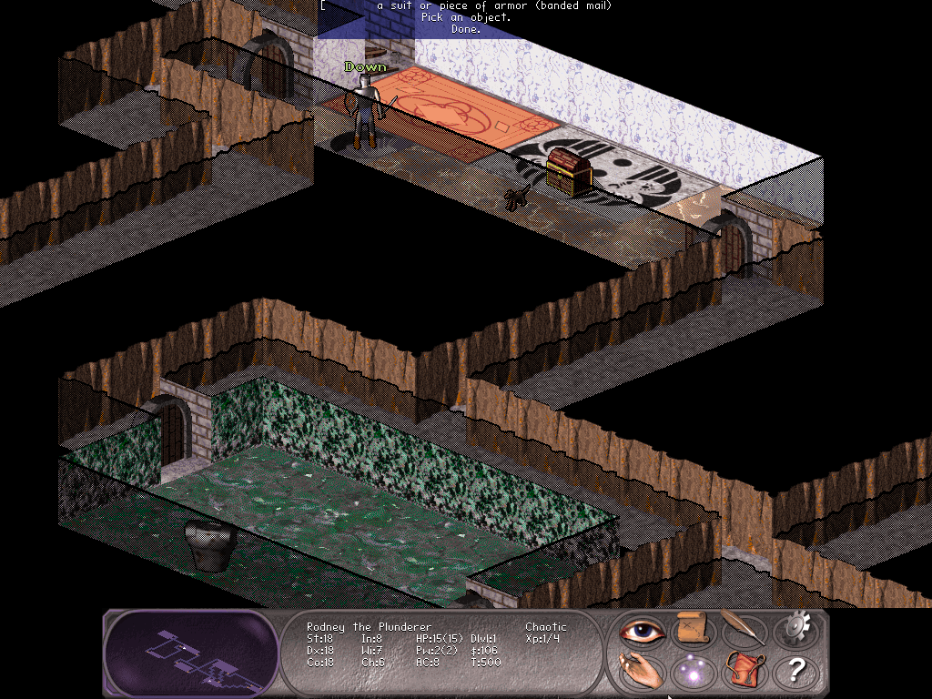 Nethack: Falcon’s Eye