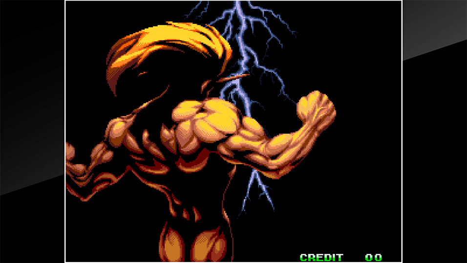 ACA Neo Geo: World Heroes Perfect