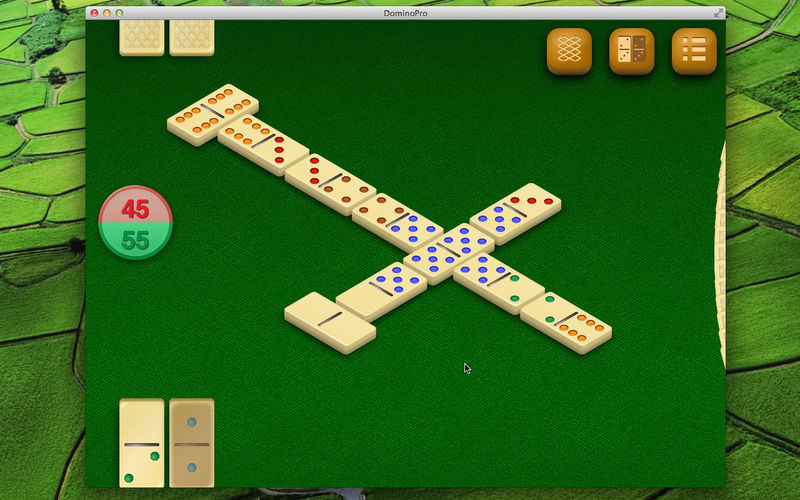Dominos Pro
