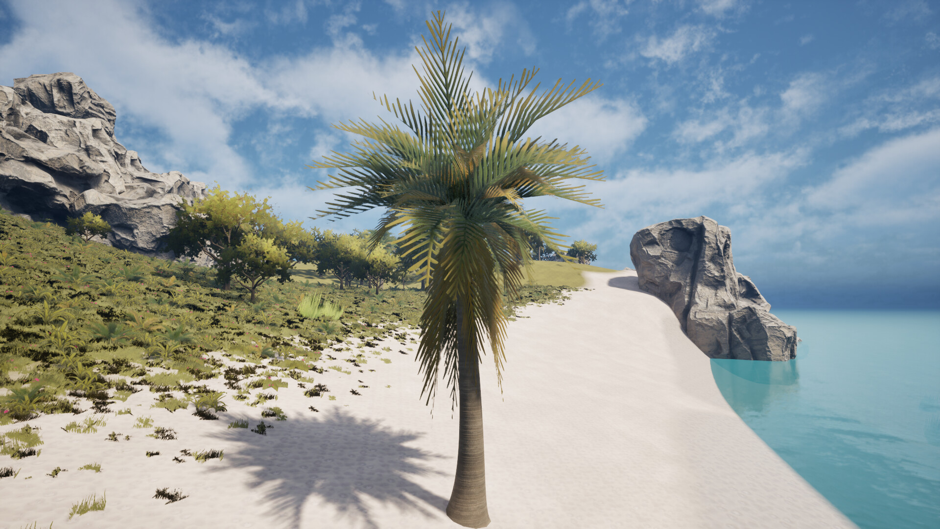 Palm Simulator 2