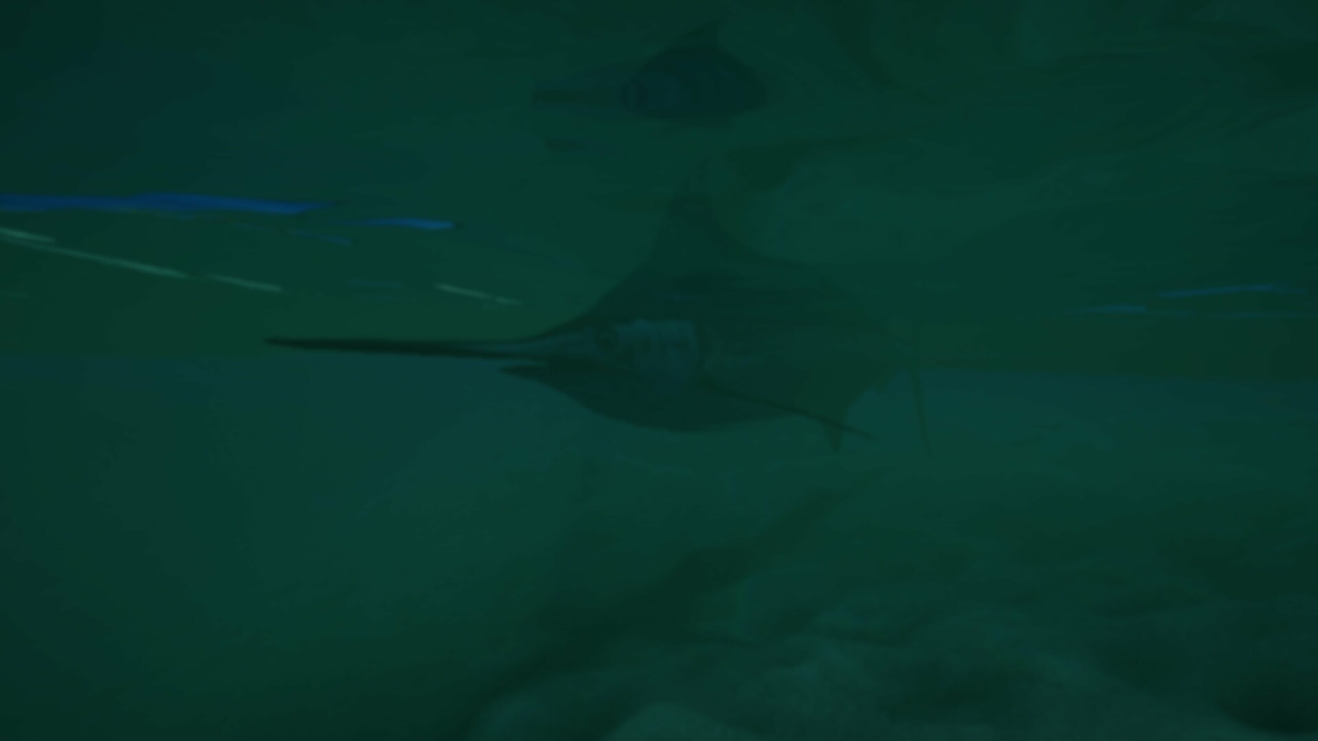 Ultimate Fishing Simulator 2: Delaware Bay