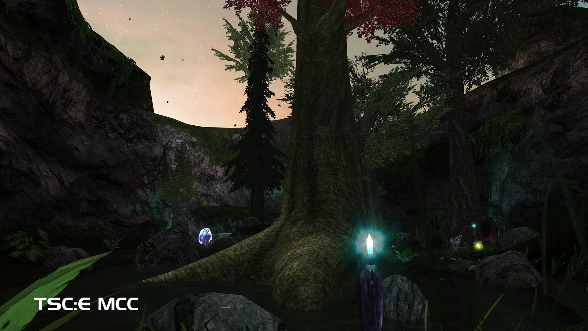 The Silent Cartographer: Evolved