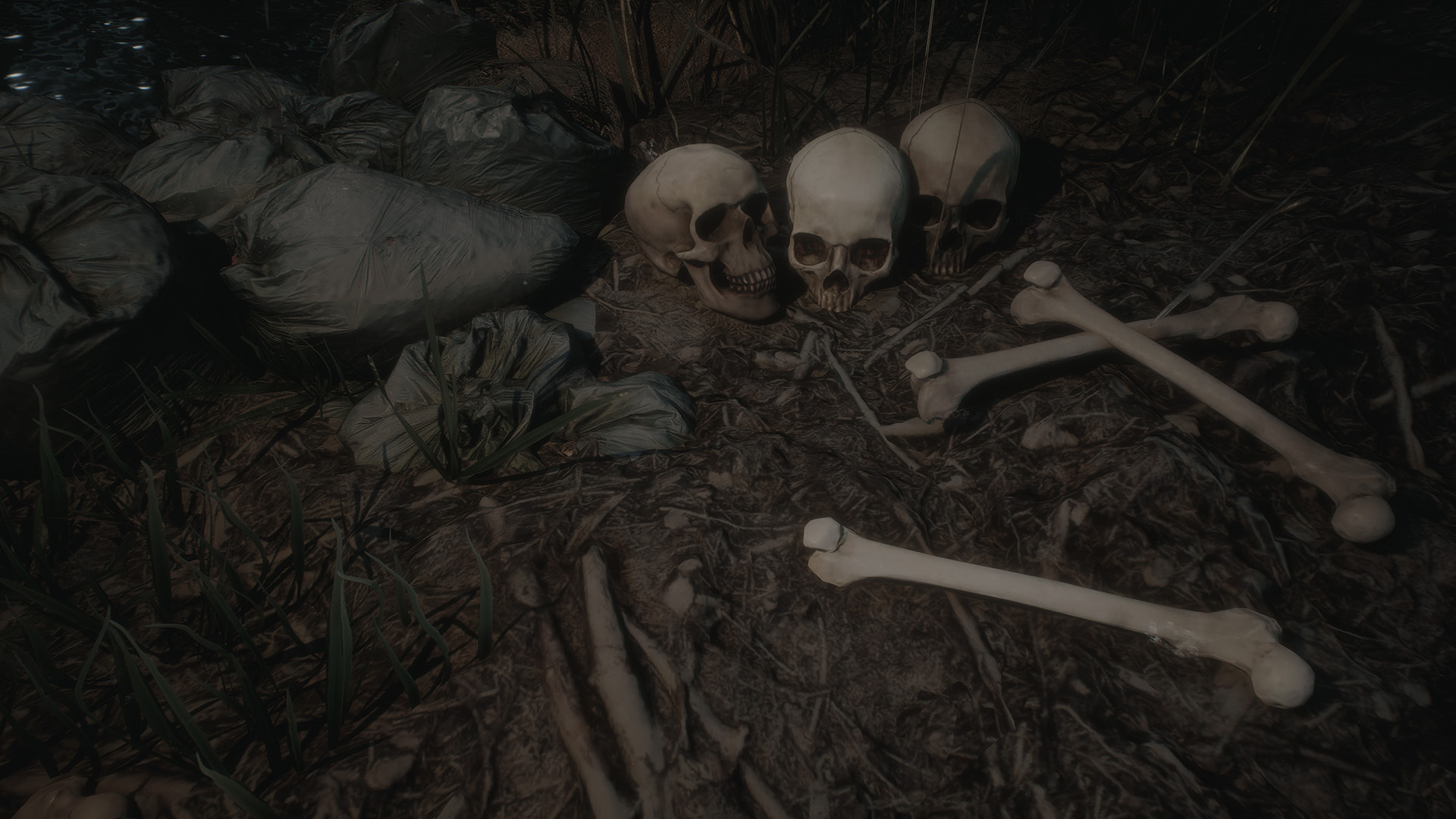 Poveglia: The Island of No Return