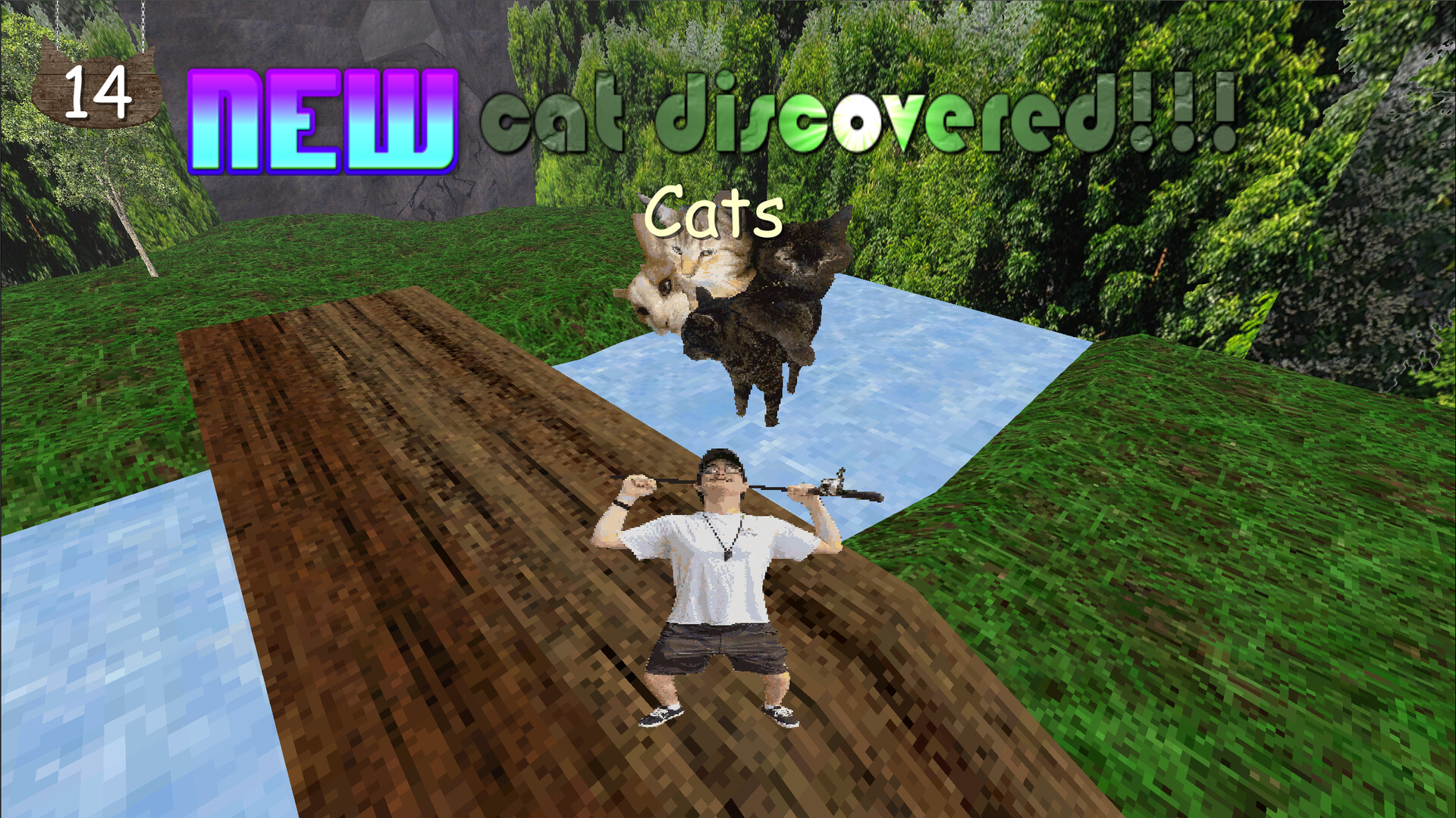 Fishing at the Lake Full of Cats