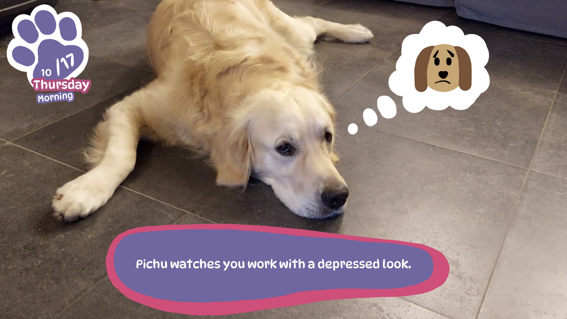 Golden Retriever Simple Life