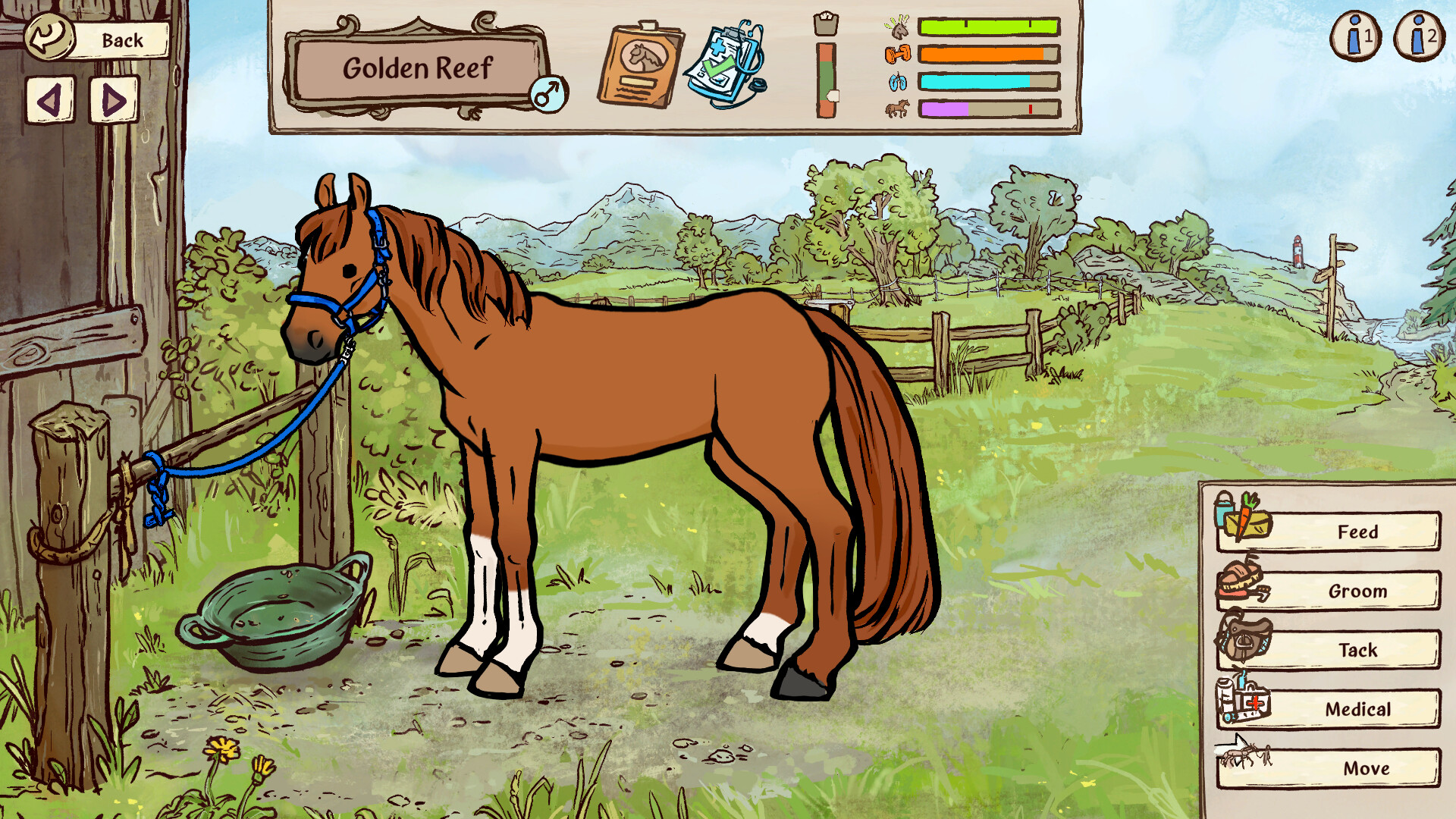 Horses of Hoofprint Bay