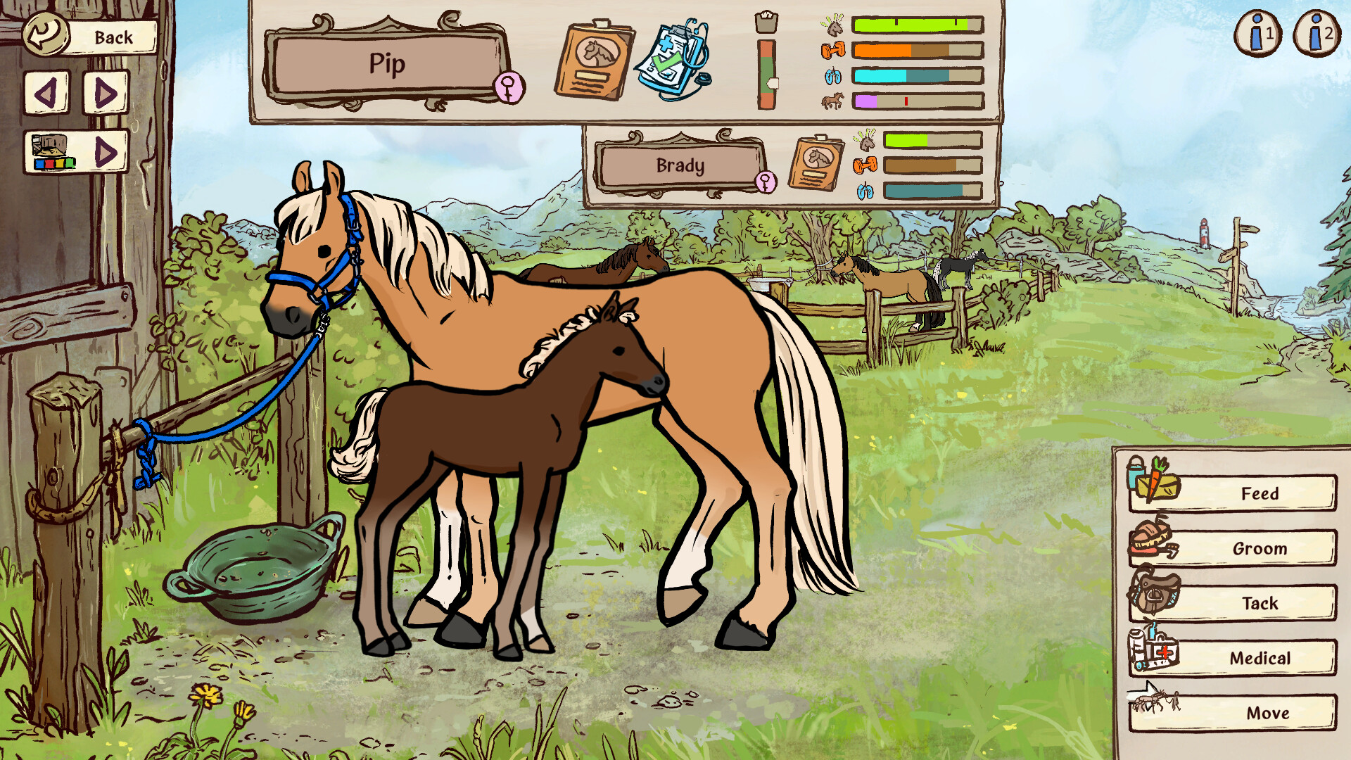 Horses of Hoofprint Bay