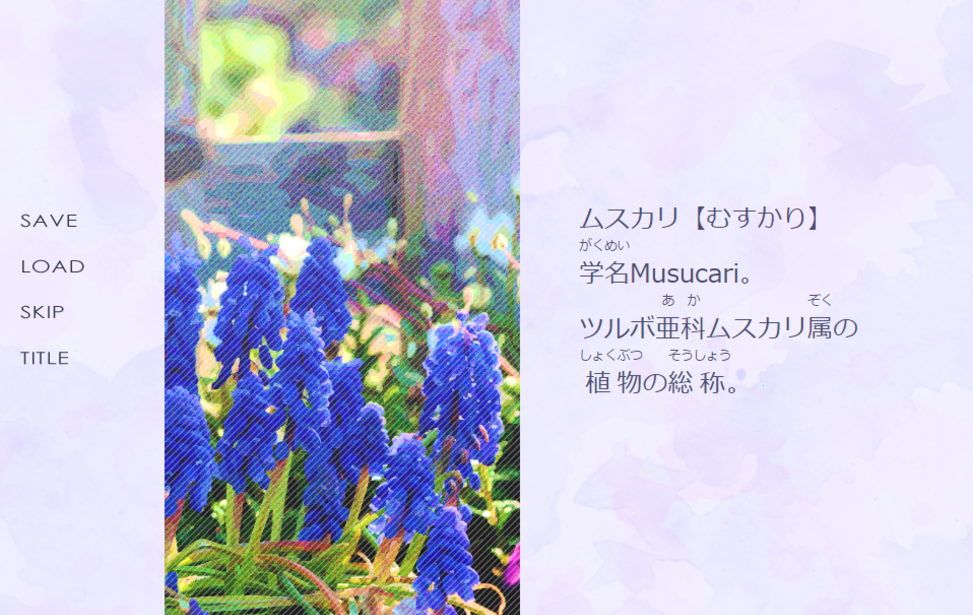 Lady Blue