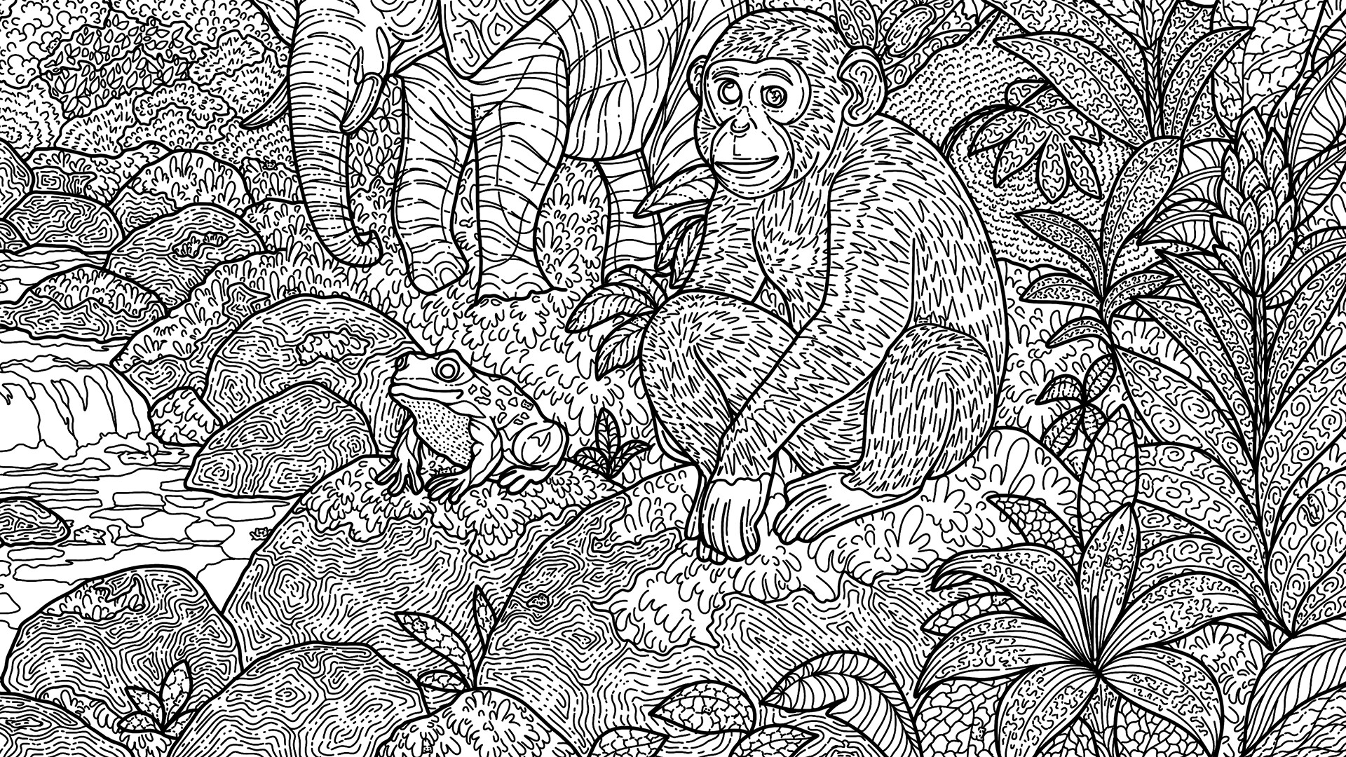 100 Jungle Cats