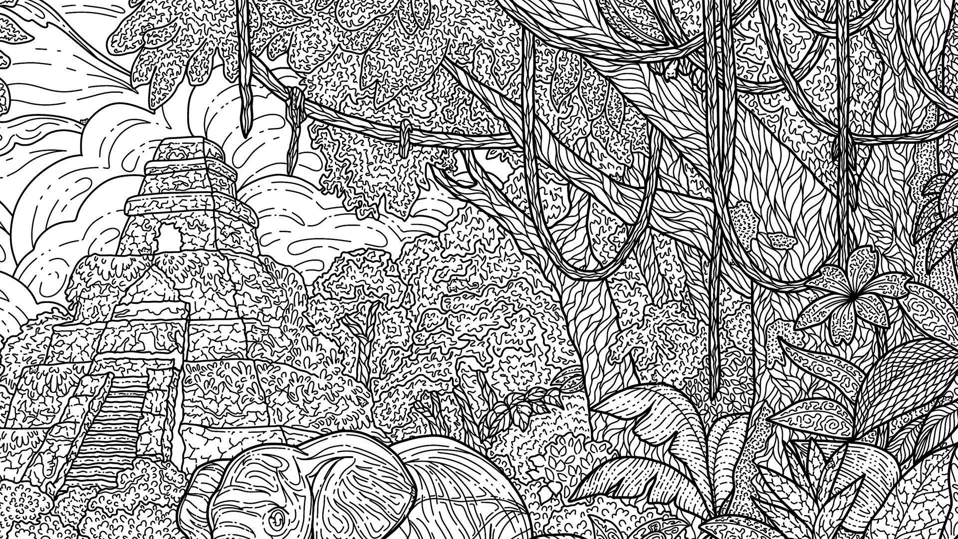 100 Jungle Cats