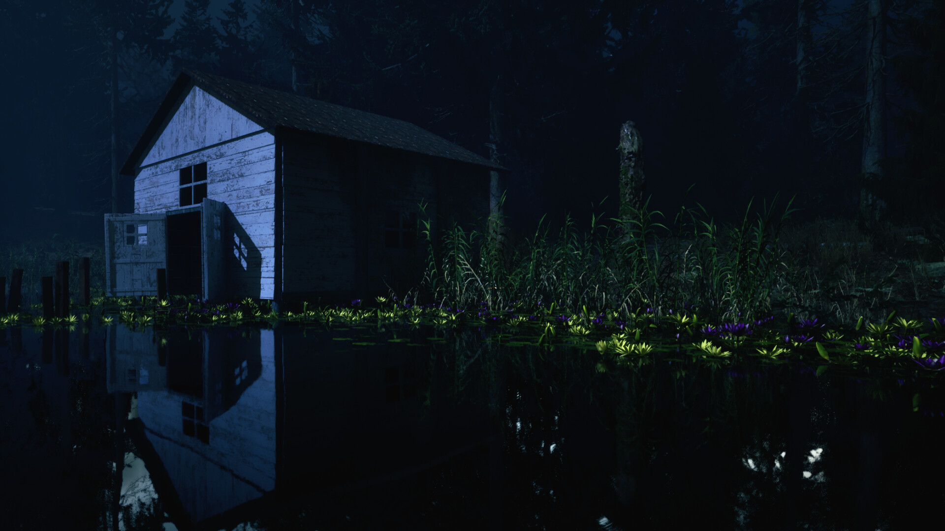 217: A Psychological Survival Thriller
