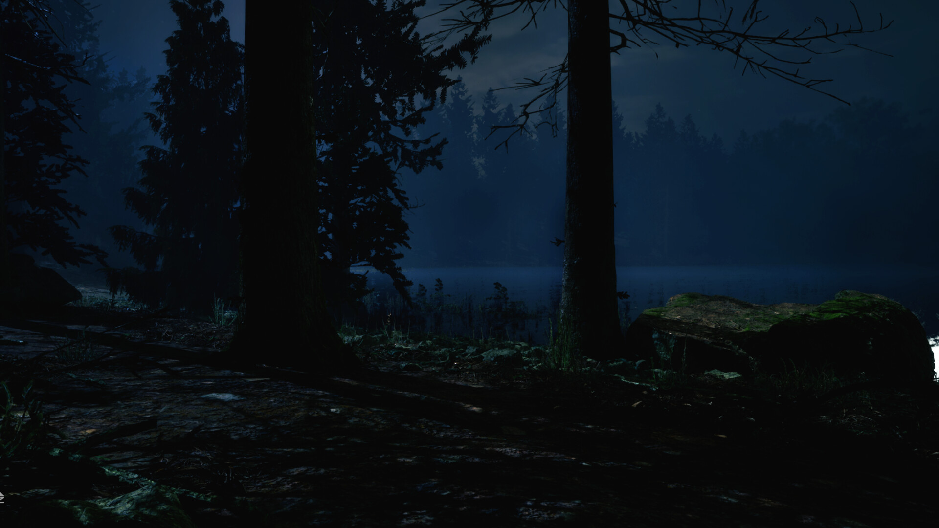 217: A Psychological Survival Thriller