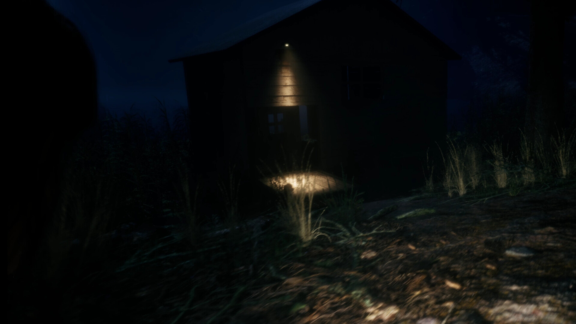 217: A Psychological Survival Thriller