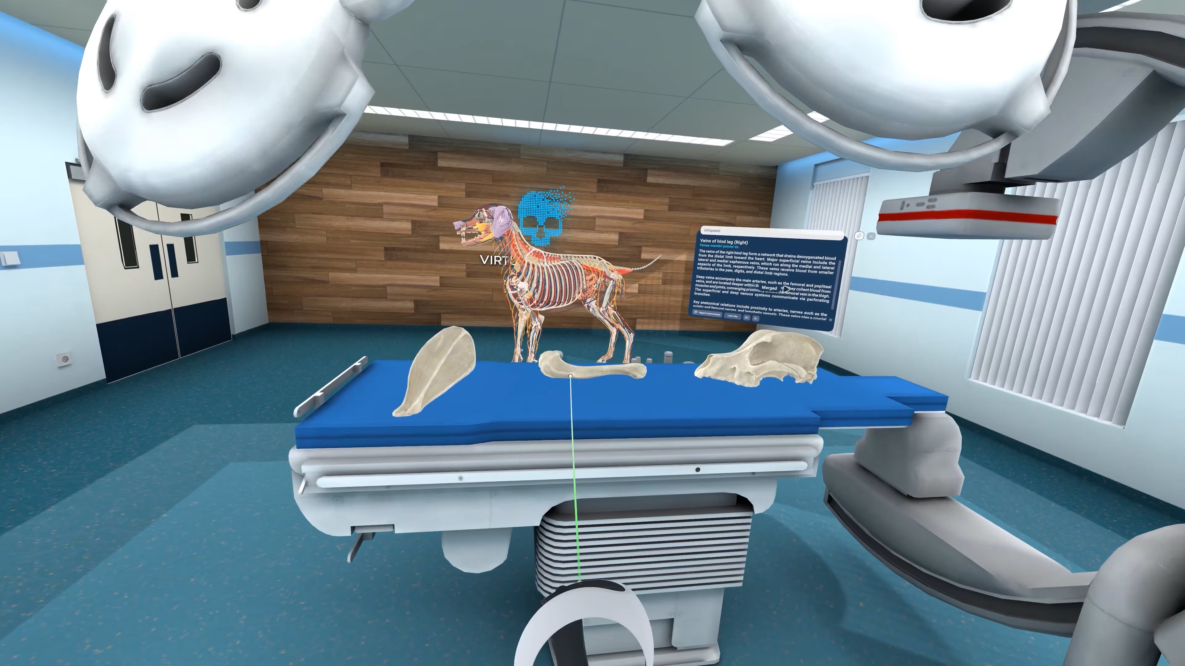 Animal Anatomy VR