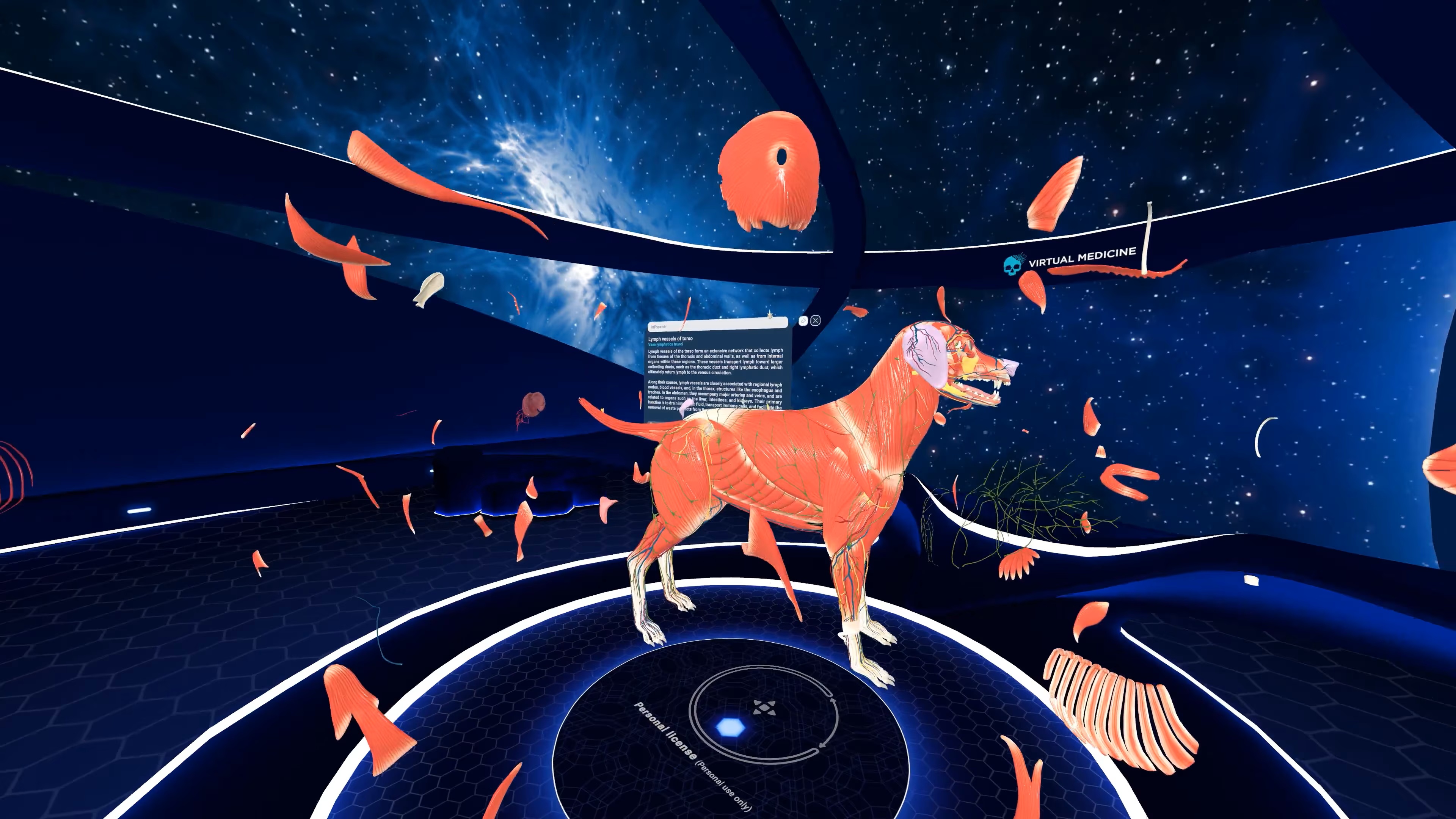 Animal Anatomy VR