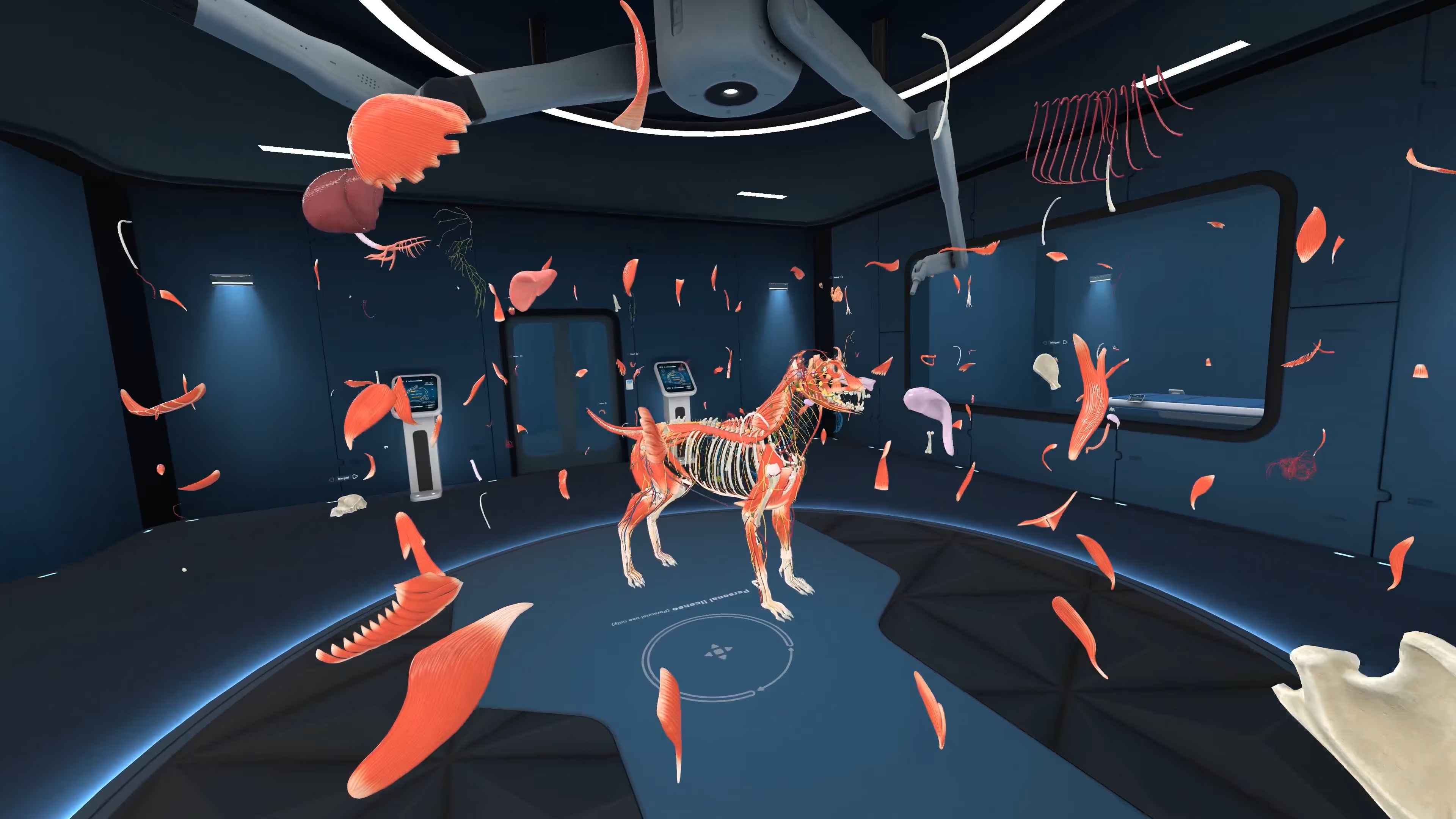 Animal Anatomy VR