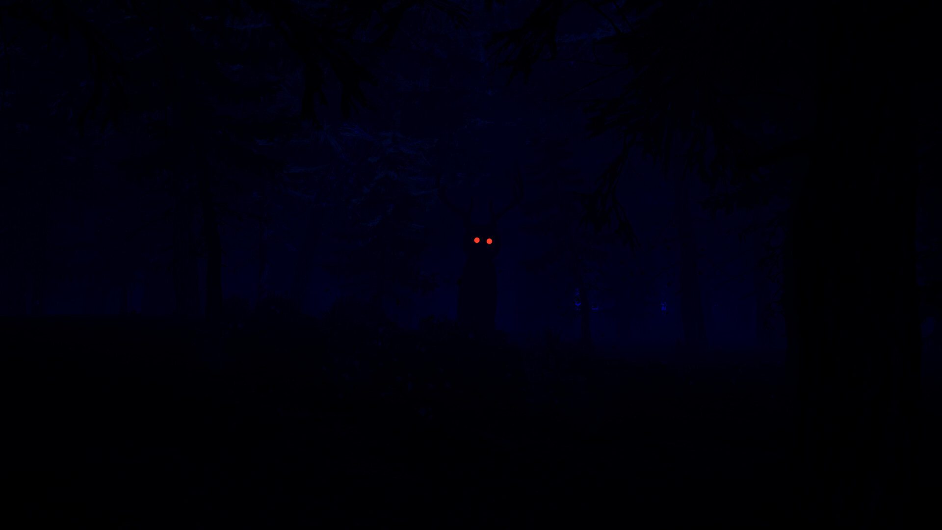 88 Nights in the Forest