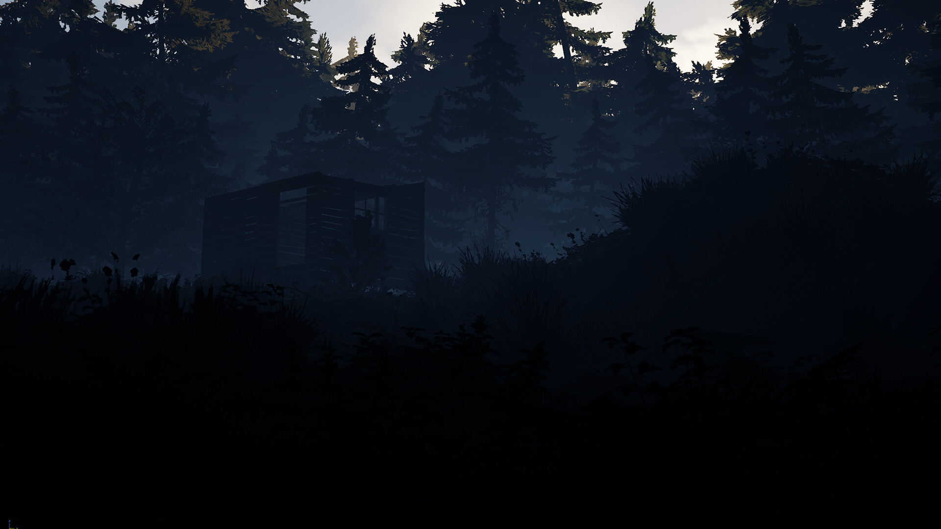 88 Nights in the Forest