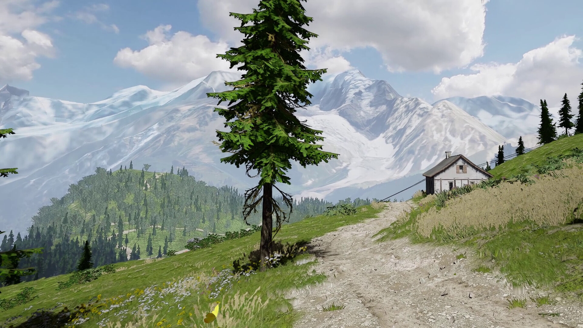 Lushfoil Photography Sim VR