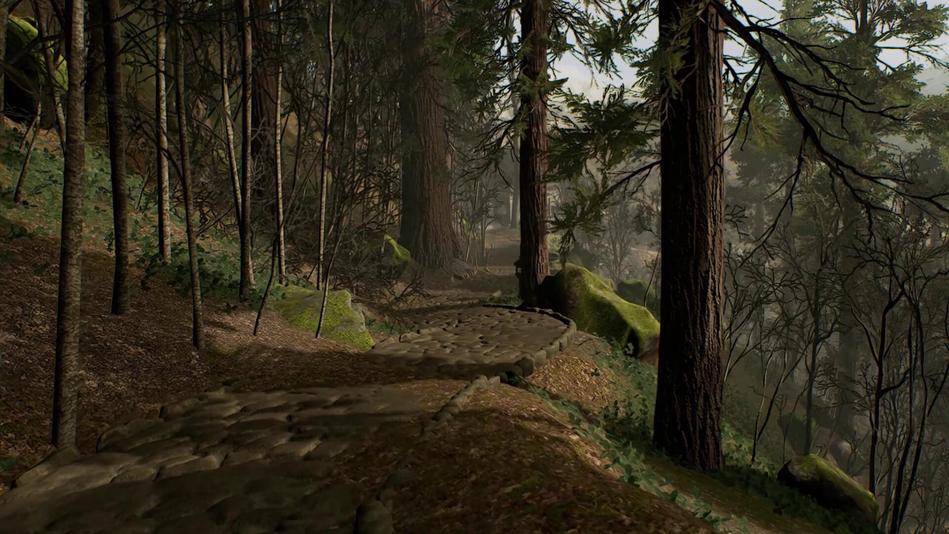 Lushfoil Photography Sim VR