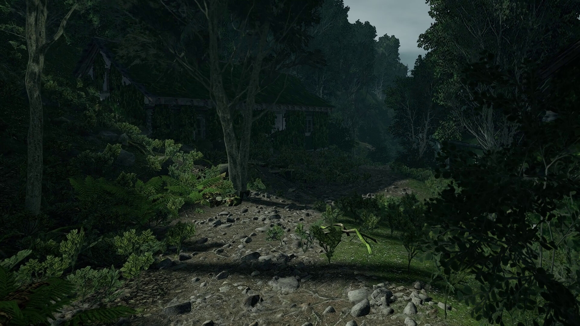 Lushfoil Photography Sim VR