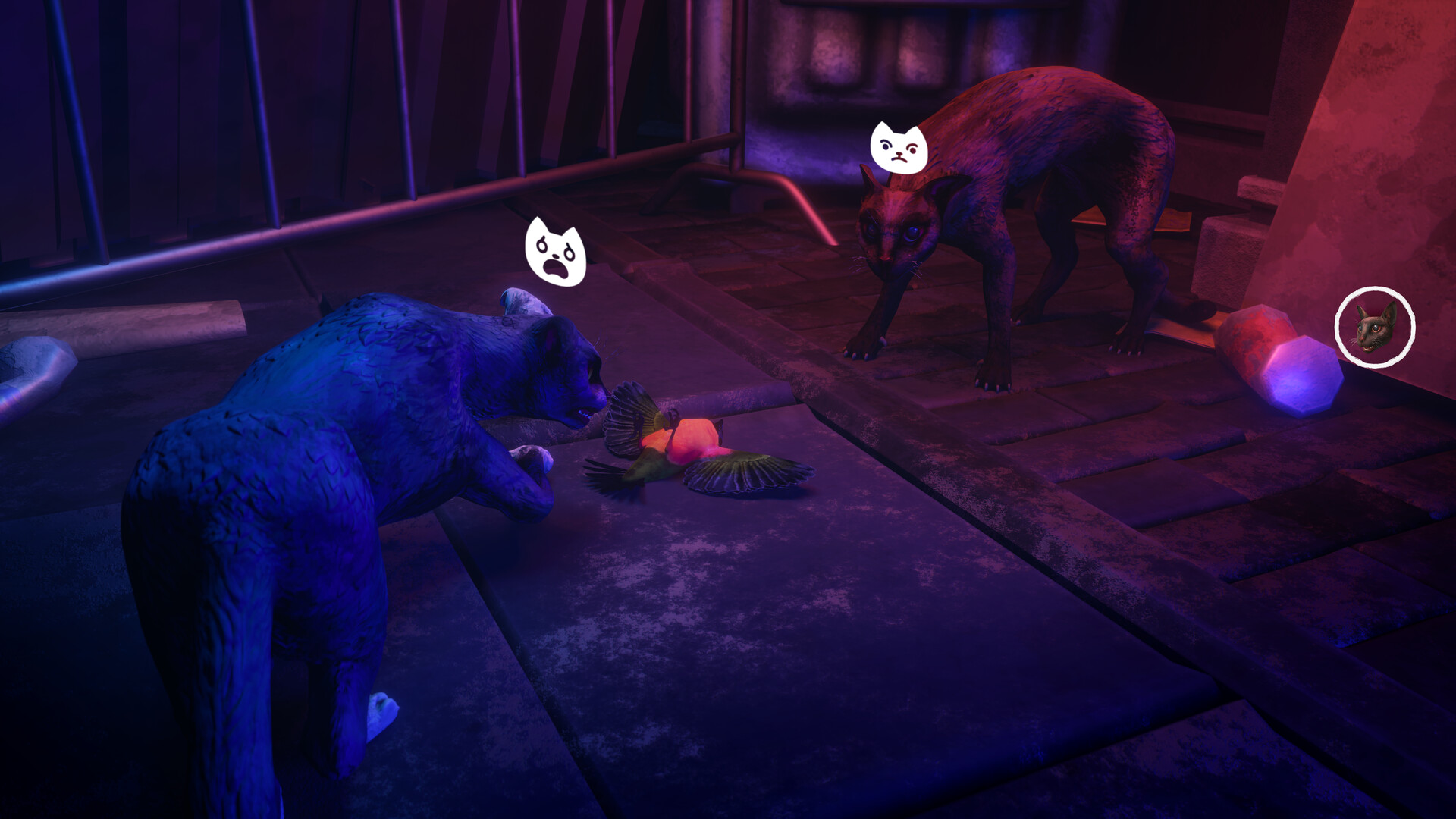 The Cat: Tales of Istanbul