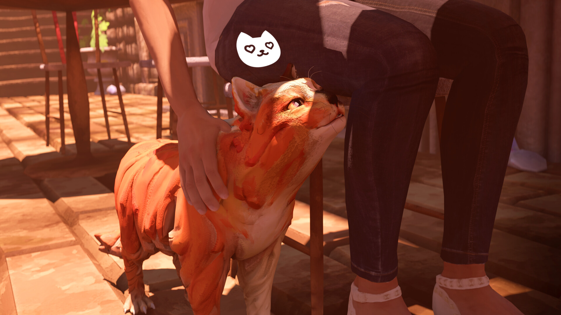 The Cat: Tales of Istanbul