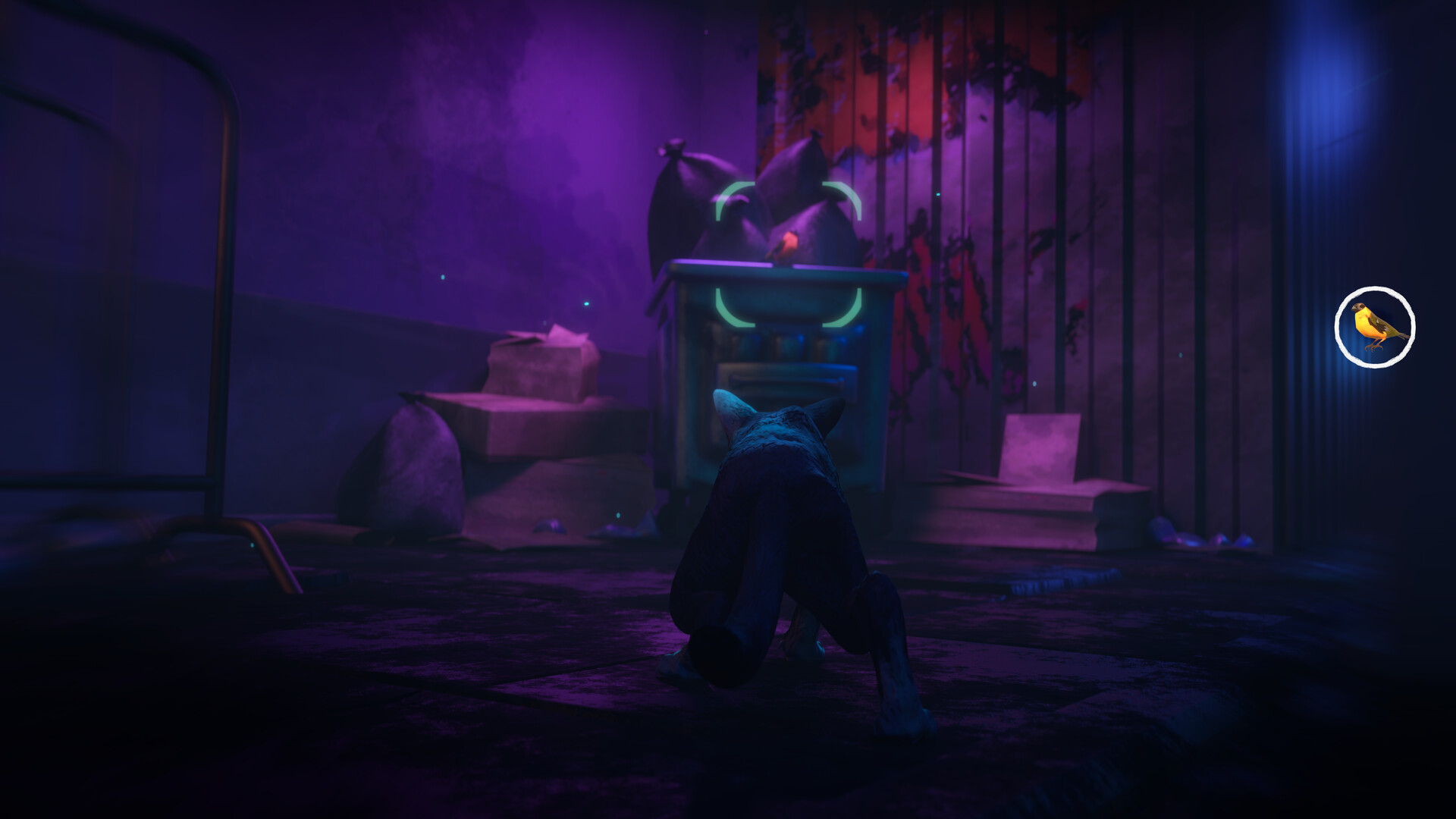 The Cat: Tales of Istanbul