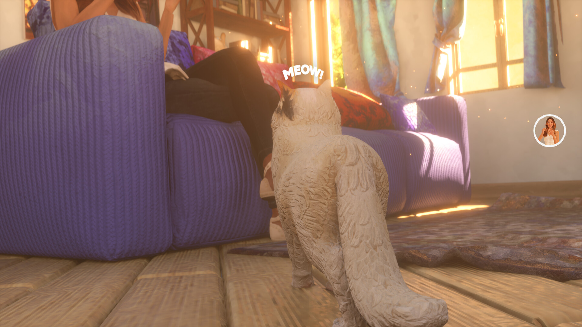 The Cat: Tales of Istanbul