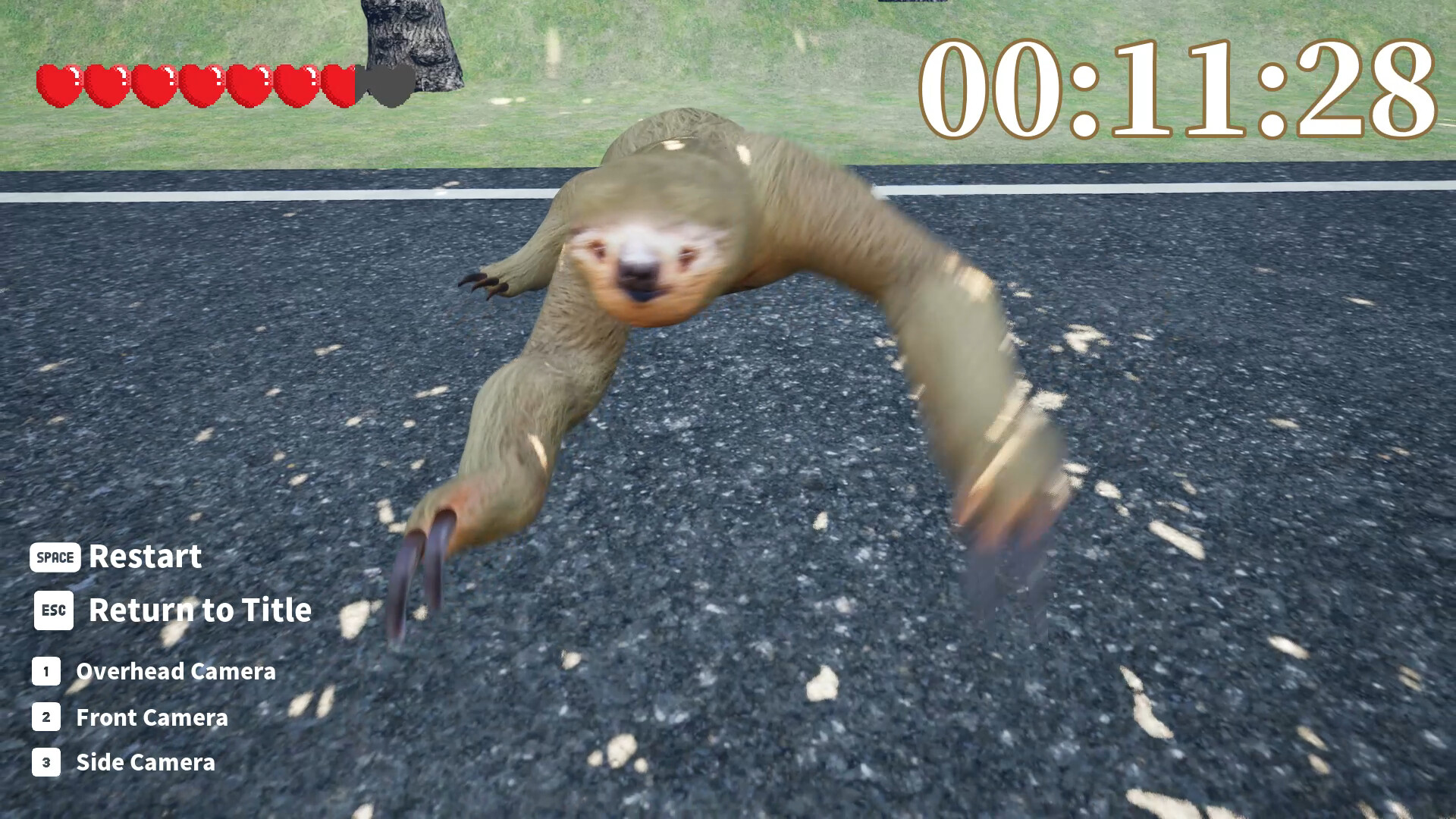 Go! Sloth