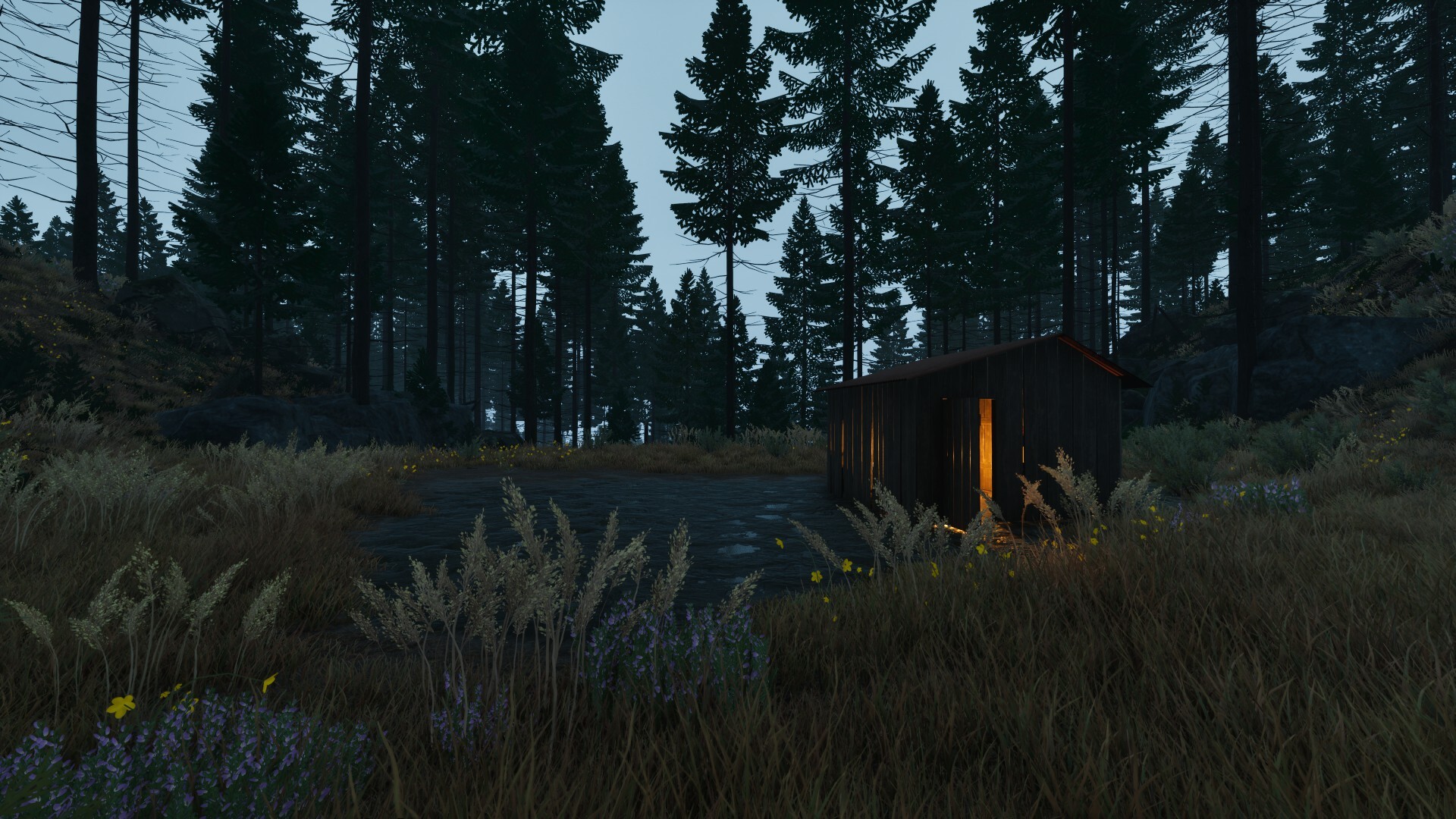 Prologue: Go Wayback!