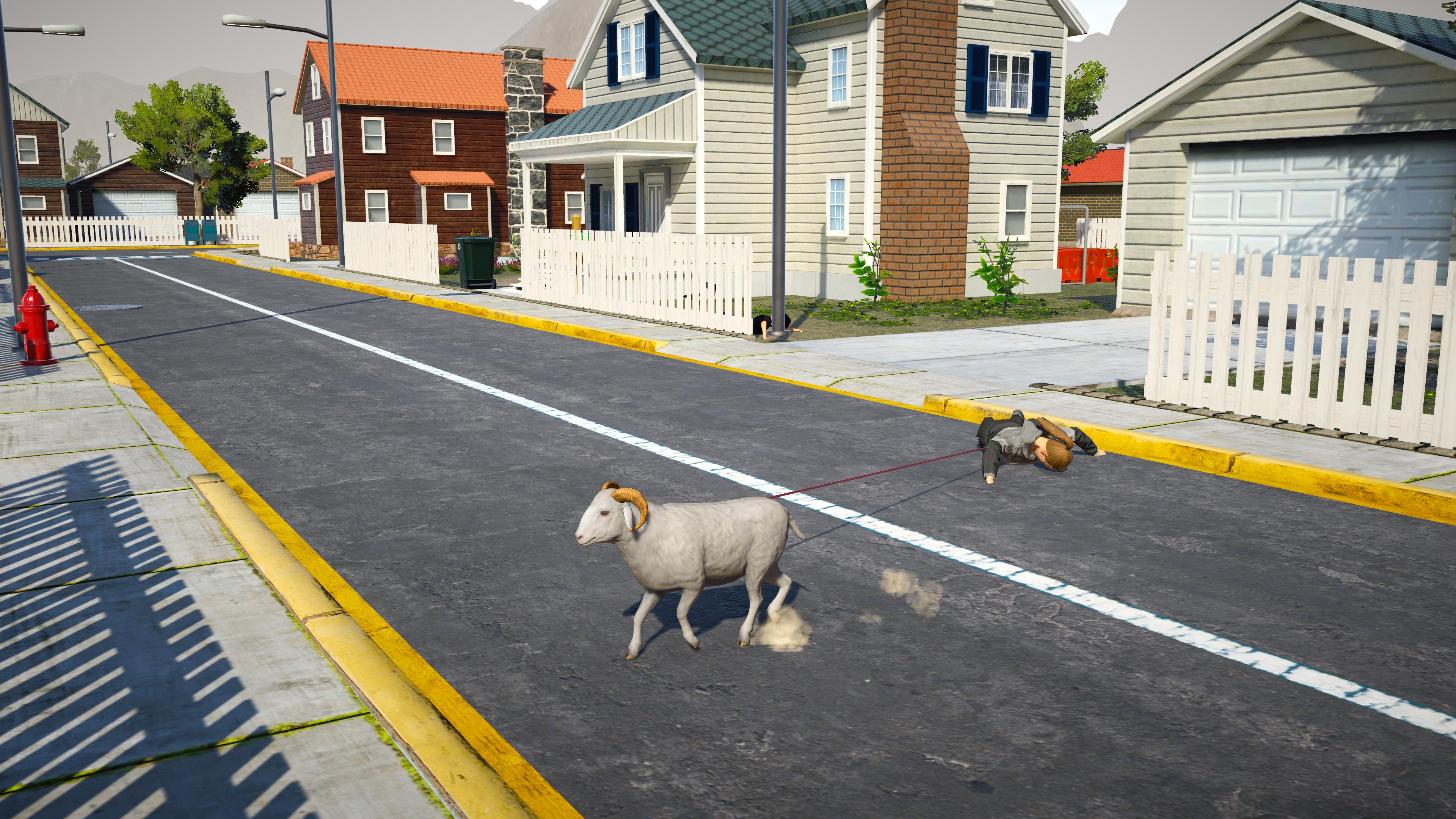 Ram Simulator