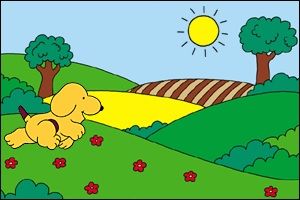 Spot’s Busy Day