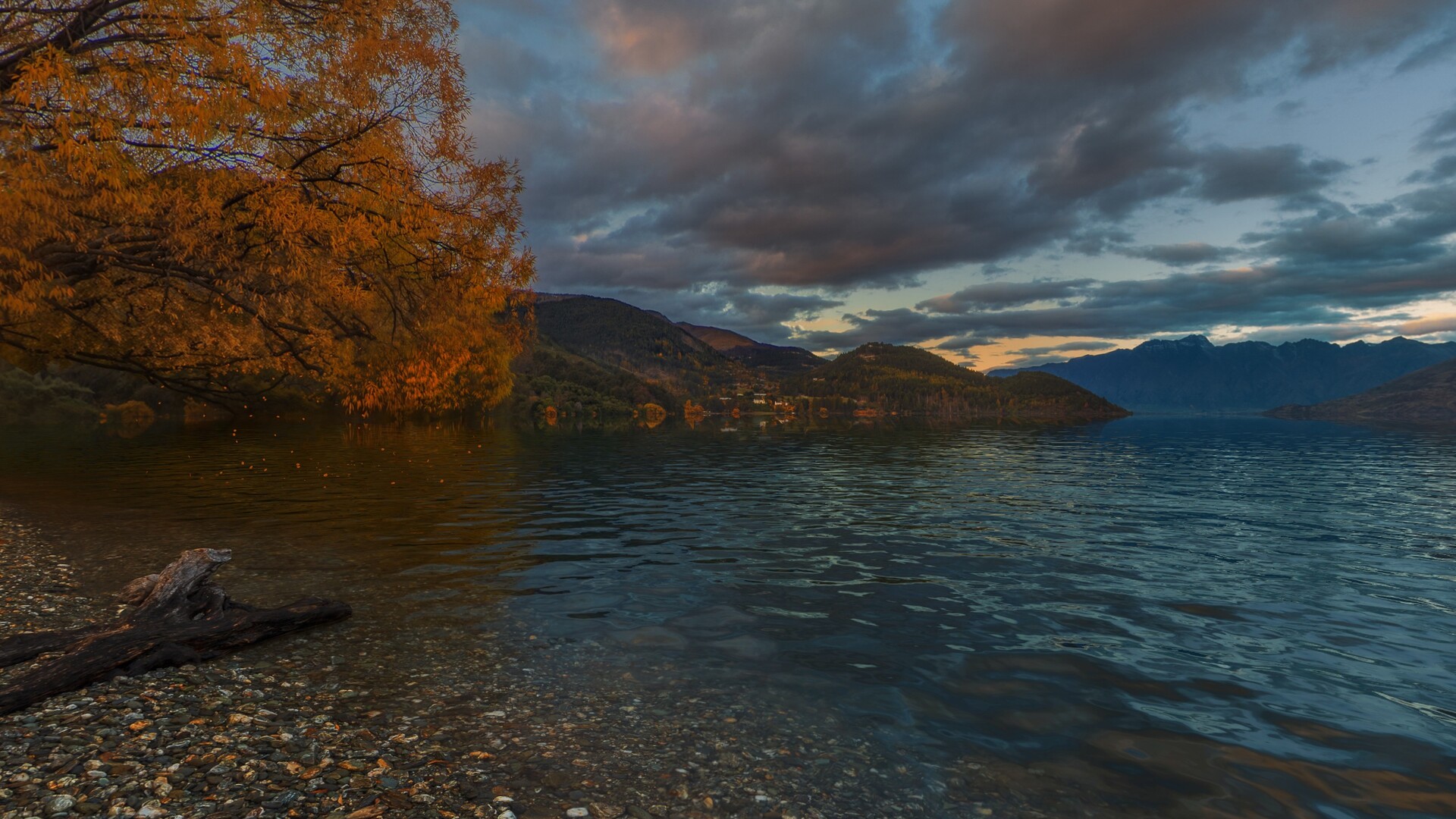 Real VR Fishing: Oceania DLC