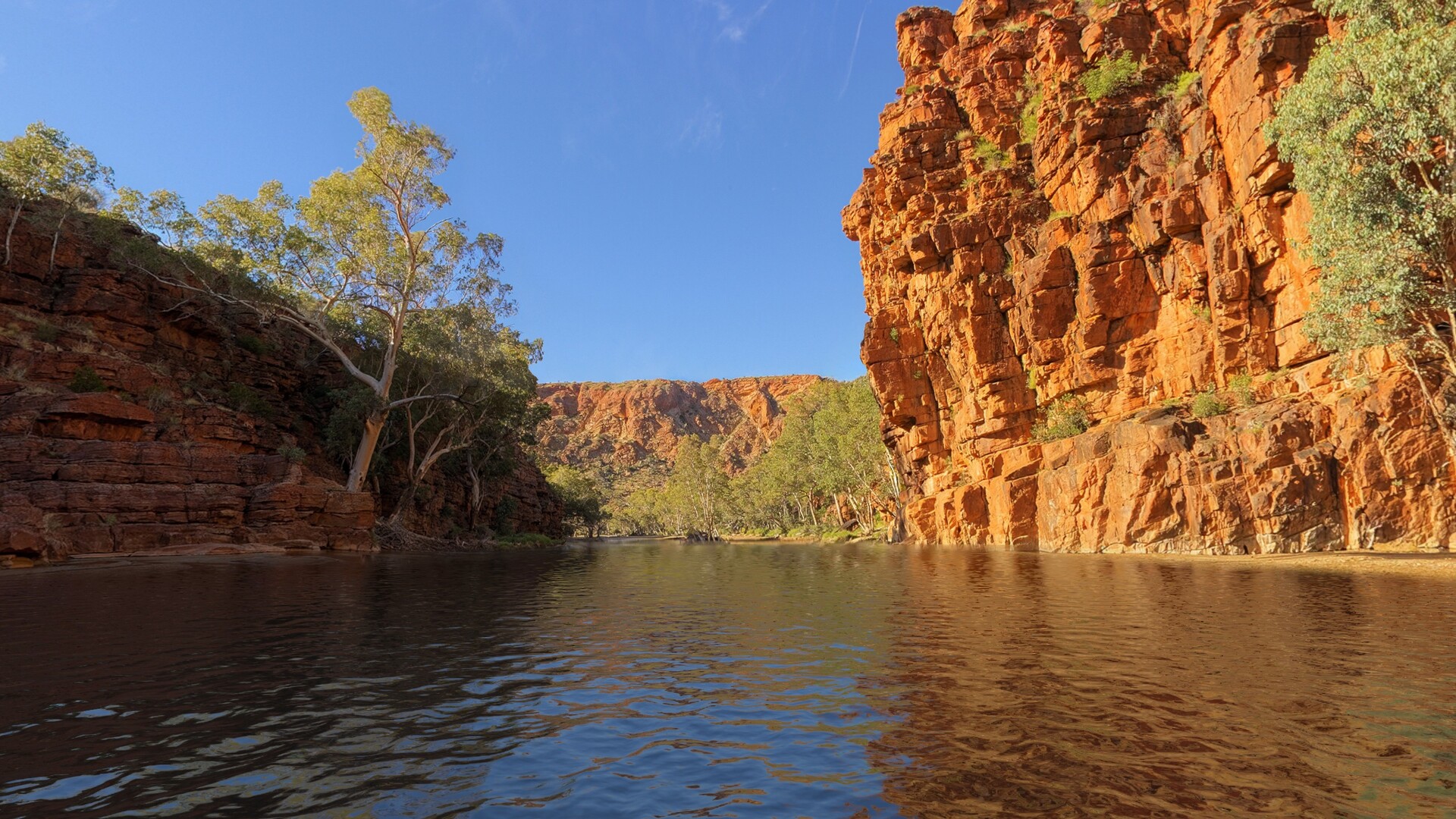 Real VR Fishing: Oceania DLC