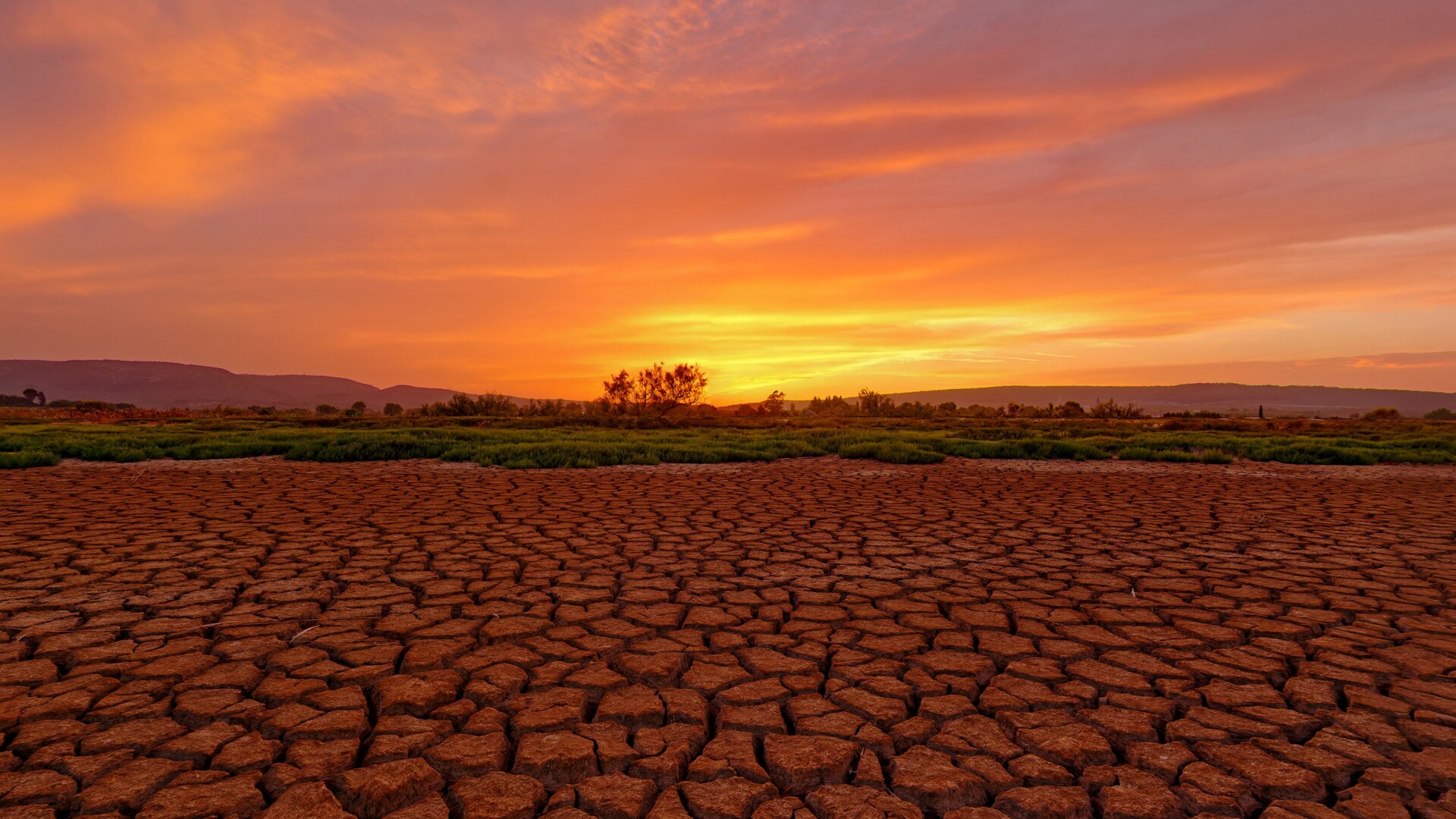 Real VR Fishing: Western Europe – France